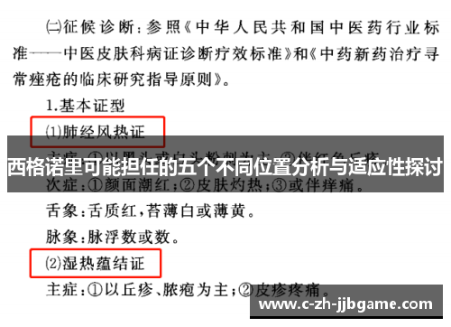 西格诺里可能担任的五个不同位置分析与适应性探讨 西格诺里可能担任的五个不同位置分析与适应性探讨