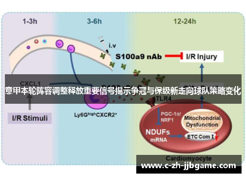 意甲本轮阵容调整释放重要信号揭示争冠与保级新走向球队策略变化